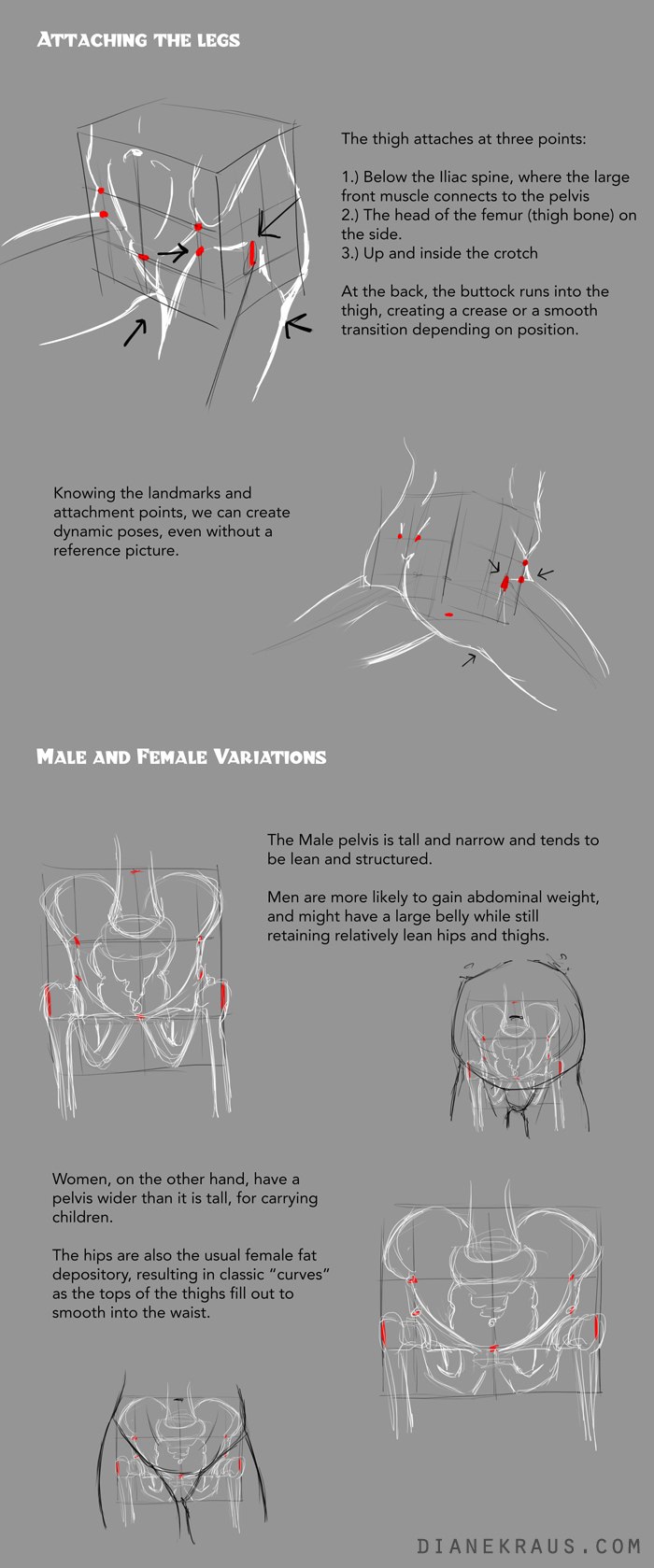 Советы по рисованию бёдер.#Animatron #Animation #АниматронПознавательный...