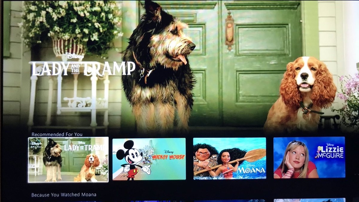 Несколько анонсов собственной стриминговой платформы компании Дисней. Итак, помимо всех уже вышедших полнометражек и сериалов на Disney+ появятся:

- Серия короткометражек с Форки, персонажем из гряду...