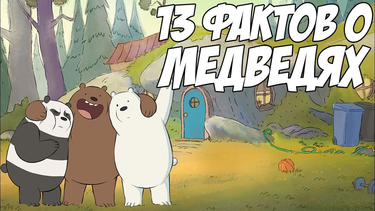 vsia-pravda-o-medvediax-13-klevyx-faktov-we-bare-bears