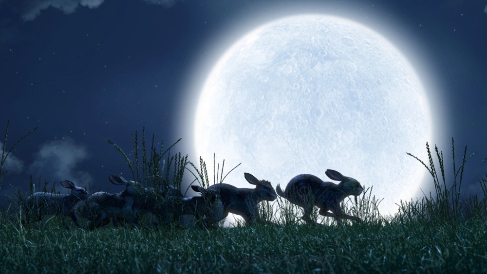 pervyekadrycgiremeikawatershipdownglavnyeroliispolniatrozamundpaikpiterkapaldidzemmacanitaronedzertonkompaniiuimsostaviatdzeimsmakevoibenkingslidenielkaluiaimnogiedrugi